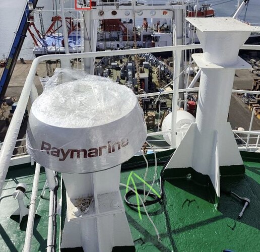 photo_2026-02-12_21-12-37