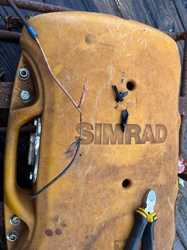 Изображение WhatsApp 2025-10-26 в 11.54.45_b9c9099c