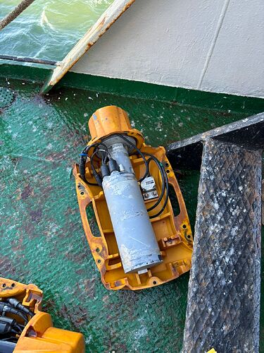 WhatsApp Image 2026-02-05 at 17.31.31 (2)