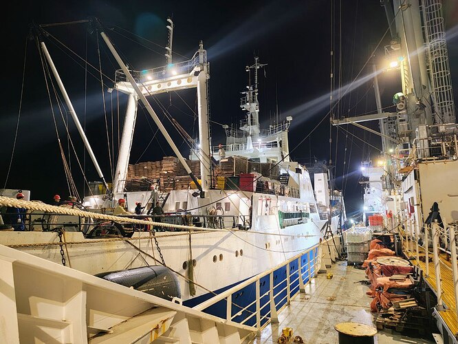 photo_2_2026-02-05_13-35-41