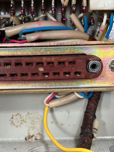 Изображение WhatsApp 2025-11-24 в 09.45.38_3f5e798b