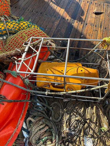 Изображение WhatsApp 2025-11-15 в 17.18.50_bc650bbf