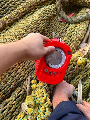 Изображение WhatsApp 2025-11-15 в 16.13.33_44cf7a03