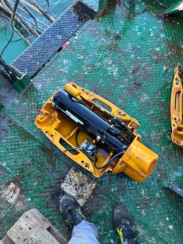 WhatsApp Image 2026-02-05 at 17.31.31 (1)