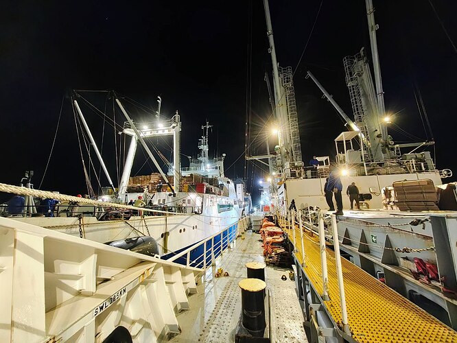 photo_1_2026-02-05_13-35-41