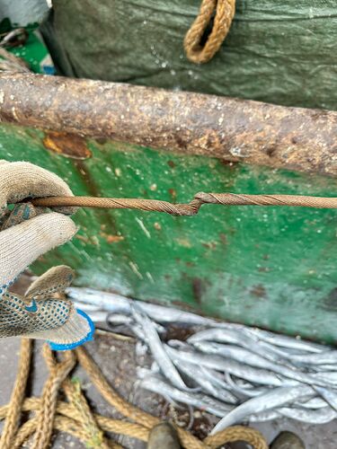 8f98c15f-72f5-49ec-afd2-e2a6cc302390