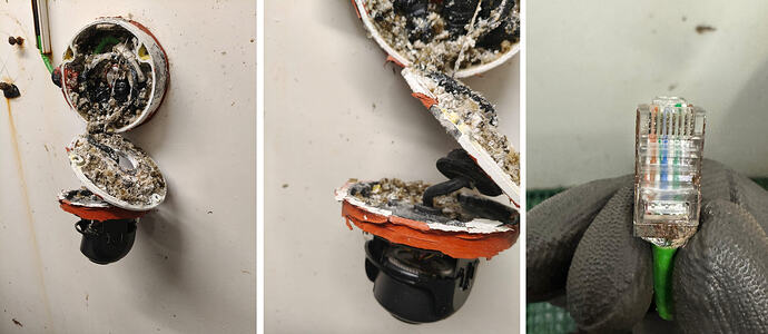 WhatsApp Image 2026-04-10 at 14.43.50 (3)